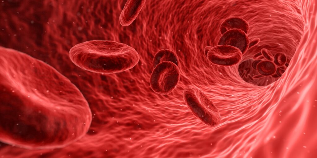 Red blood cells. CC0 Creative Commons