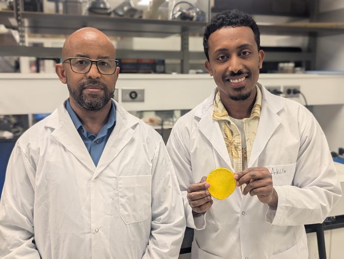 Researchers show flexible polymer material